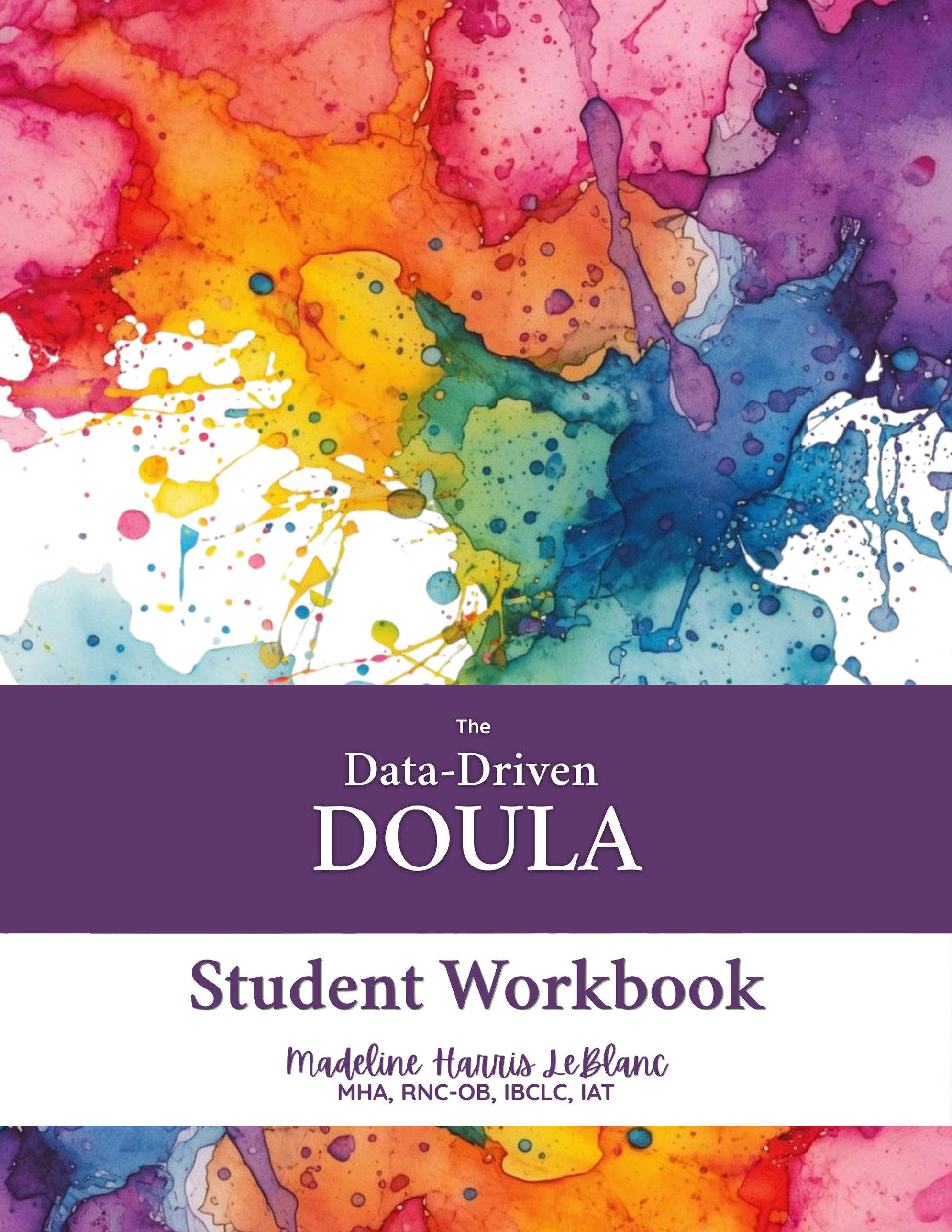 The Data Driven Doula: Companion Workbook cover